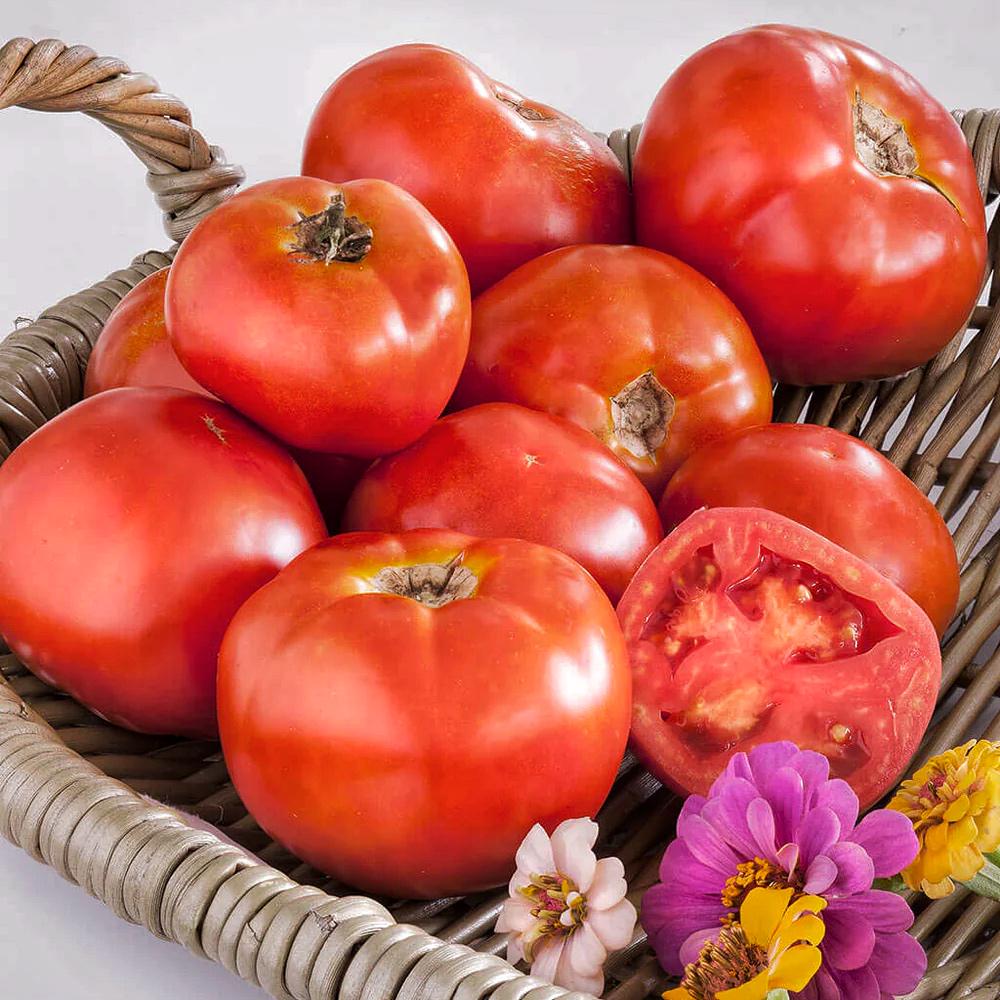 Томат Бессер Хейглоом Besser Heirloom 5 шт./5 пак. (38296199)