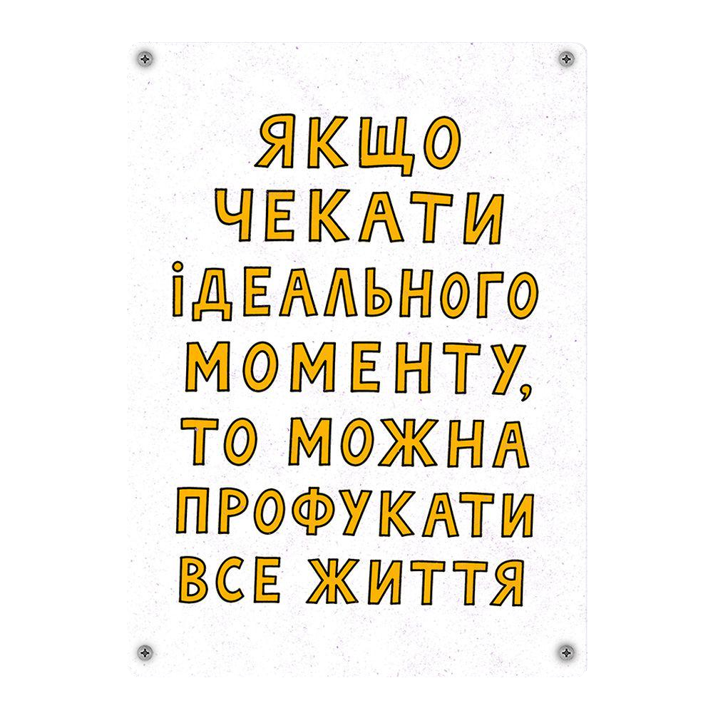 Табличка металлическая "Якщо чекати ідеального моменту то можна профукати все життя" 26х18,5 см (MET_26J030)
