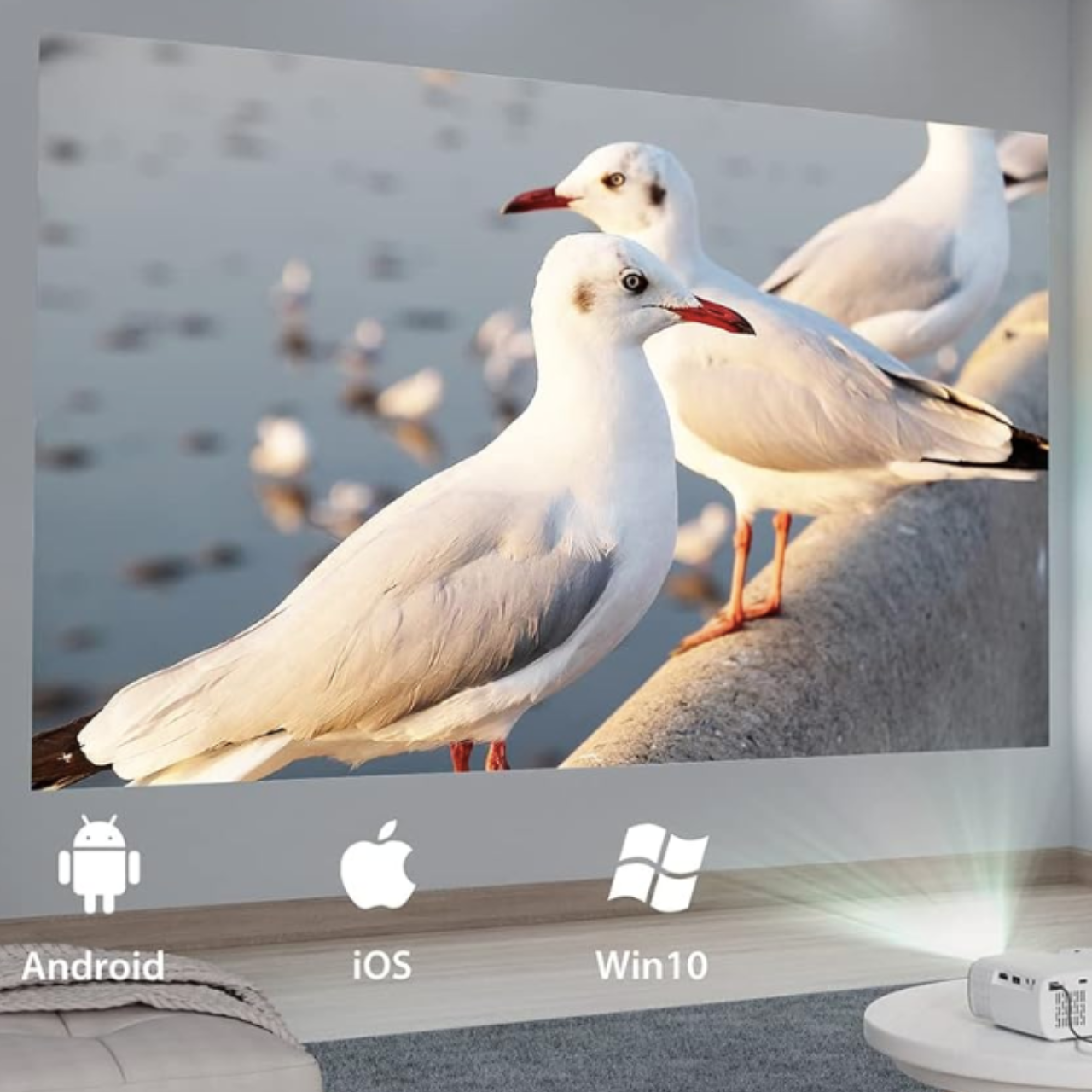 Мини-проектор Jimveo C11 Mini Full HD Wi-Fi 8500 Лм - фото 5 Мини-проектор Jimveo C11 Mini Full HD Wi-Fi 8500 Лм - фото 5