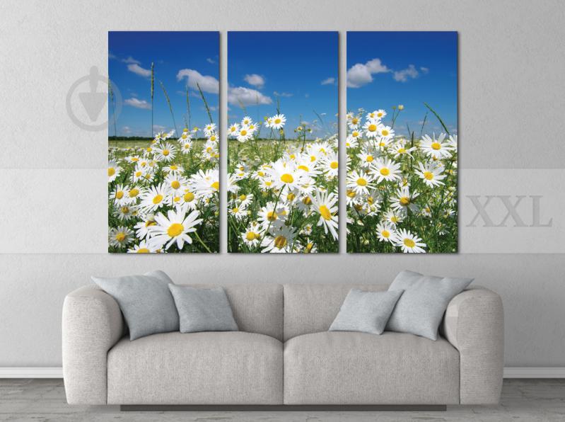 Модульна картина Poster-land Ромашки Поле Art-47_XXL