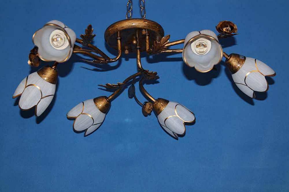 Люстра с плафонами Ray L90529D/6 (IR006072)