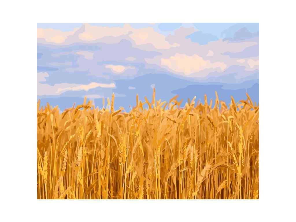 Картина по номерам Strateg Пшеничное поле 40х50 см (GS1337)