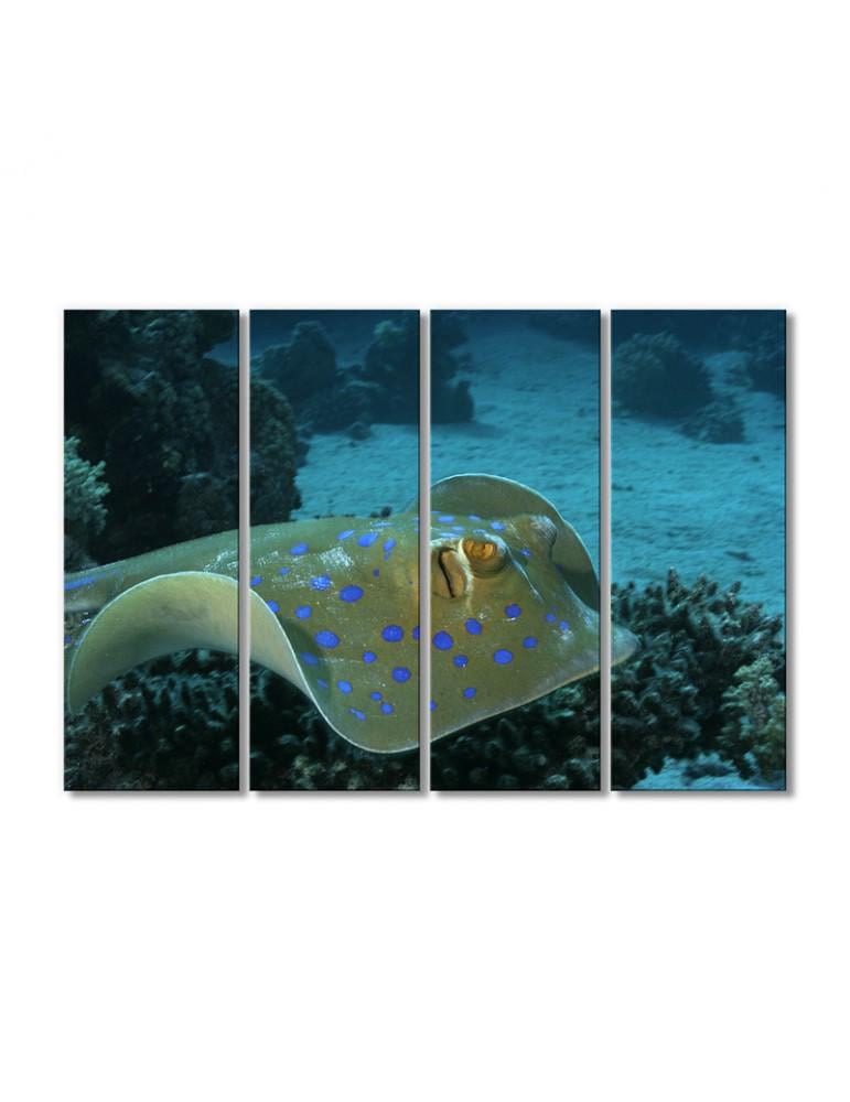 Картина модульная Рыба скат Таниура-лимма 4 модуля 90x135 см