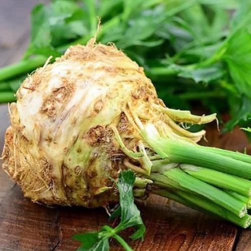 Насіння Селера Florium кореневий Президент (4253) - фото 2 Насіння Селера Florium кореневий Президент (4253) - фото 2