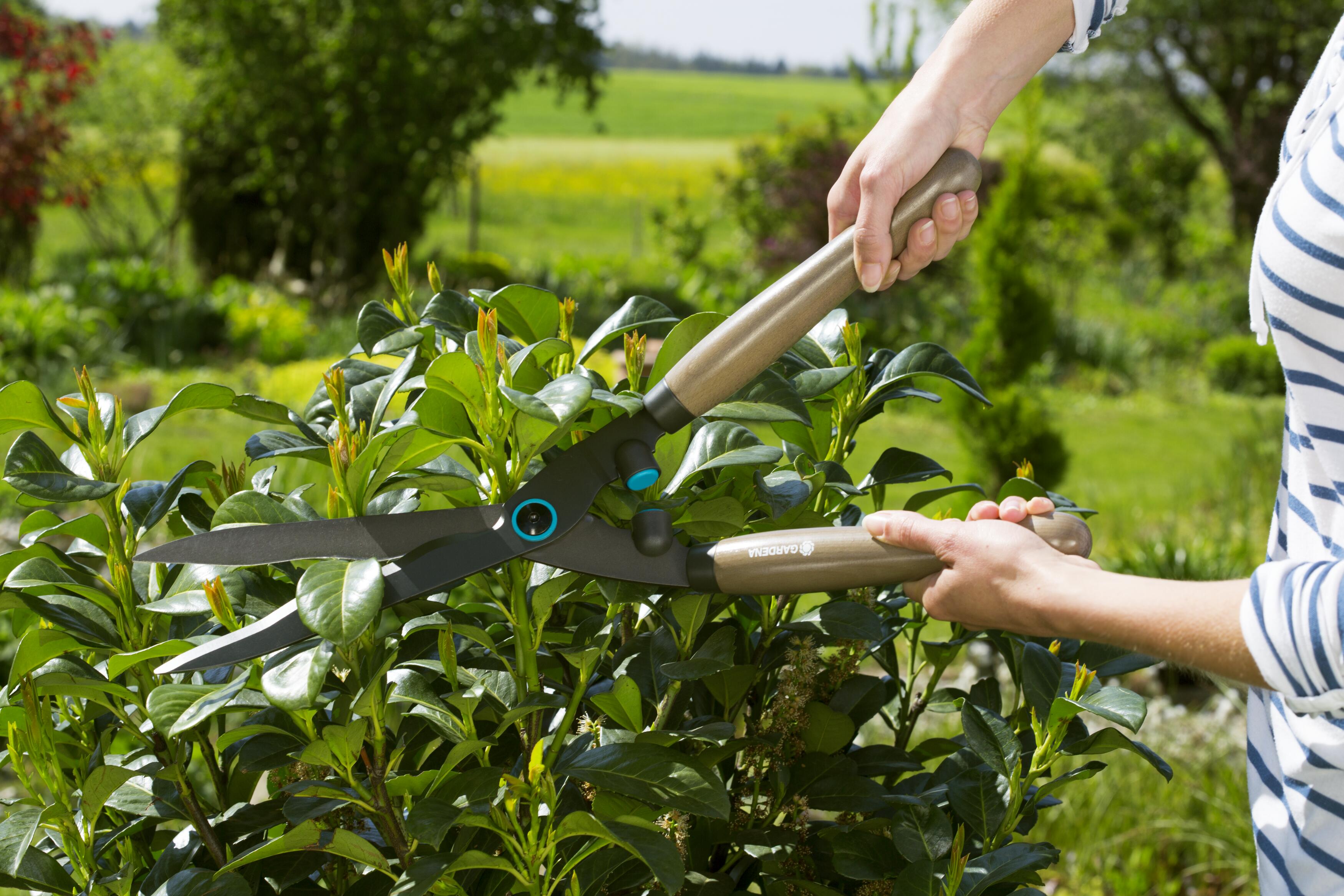 Ножницы садовые для живой изгороди механические Gardena NatureCut и секатор Classic 8754 (12300-30) - фото 3