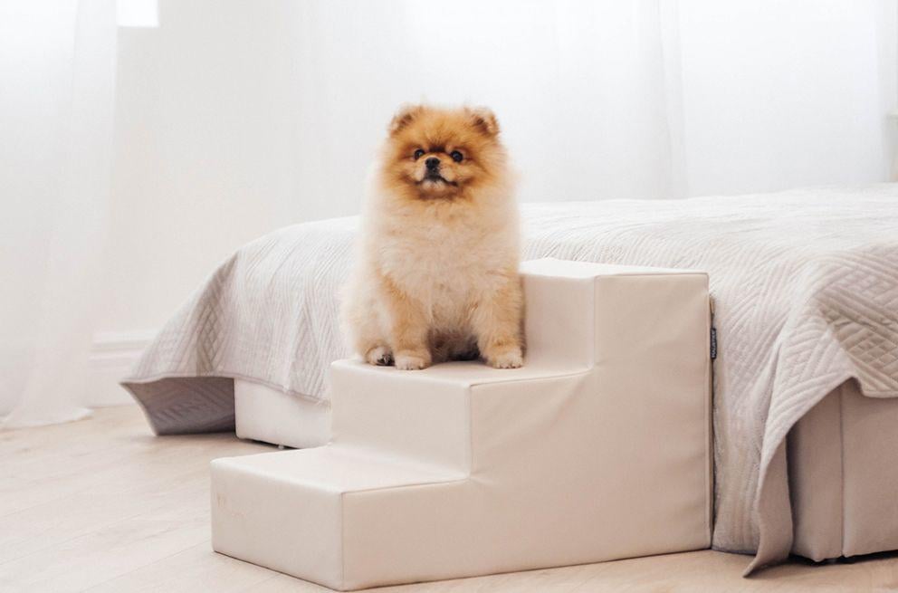 Сходинки для Собак Haustier Ivory 3х-рівневі екошкіра вологостійкі 54х40х36см (R1-1-e02) - фото 1 Сходинки для Собак Haustier Ivory 3х-рівневі екошкіра вологостійкі 54х40х36см (R1-1-e02) - фото 1