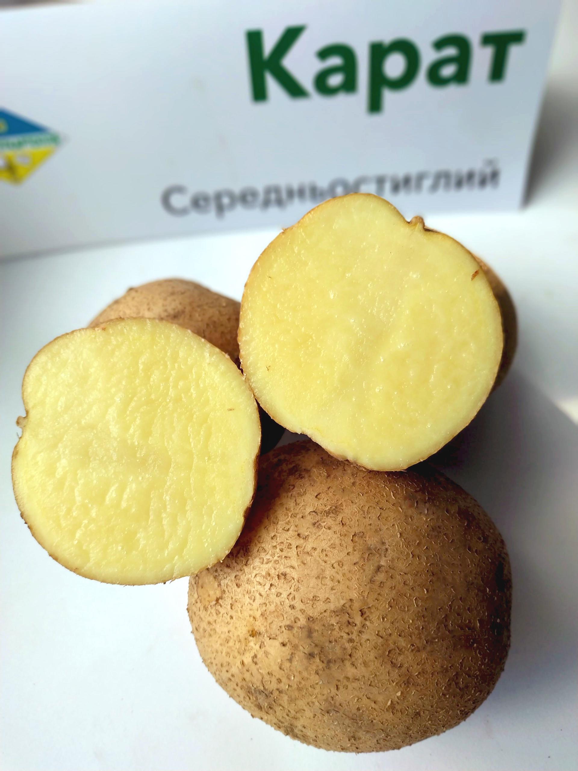 Картофель Карат 1 кг (38296932)