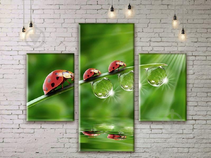 Модульная картина Божья коровка ADNA0174 размер 95 х 120 см