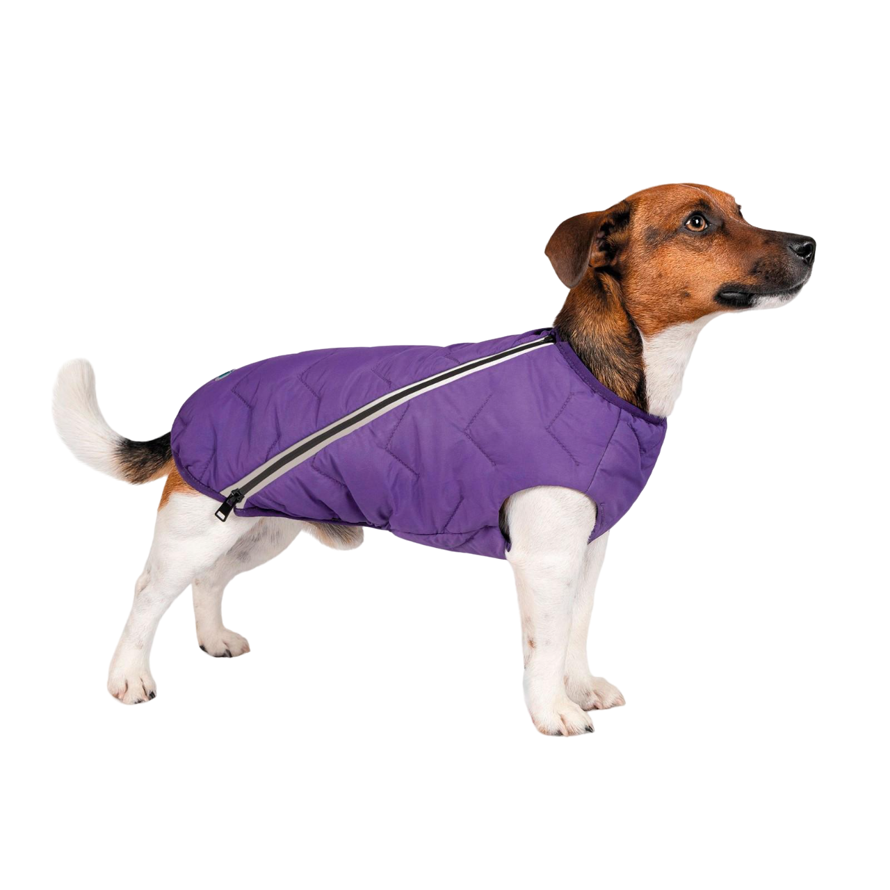 Жилет Pet Fashion E.Vest S/М Фиолетовый (PR242422)