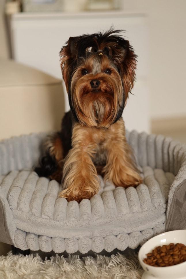 Лежанка для собак и кошек Pets Heaven MIA 50х46х25 см (AL13AM18) - фото 7 Лежанка для собак и кошек Pets Heaven MIA 50х46х25 см (AL13AM18) - фото 7