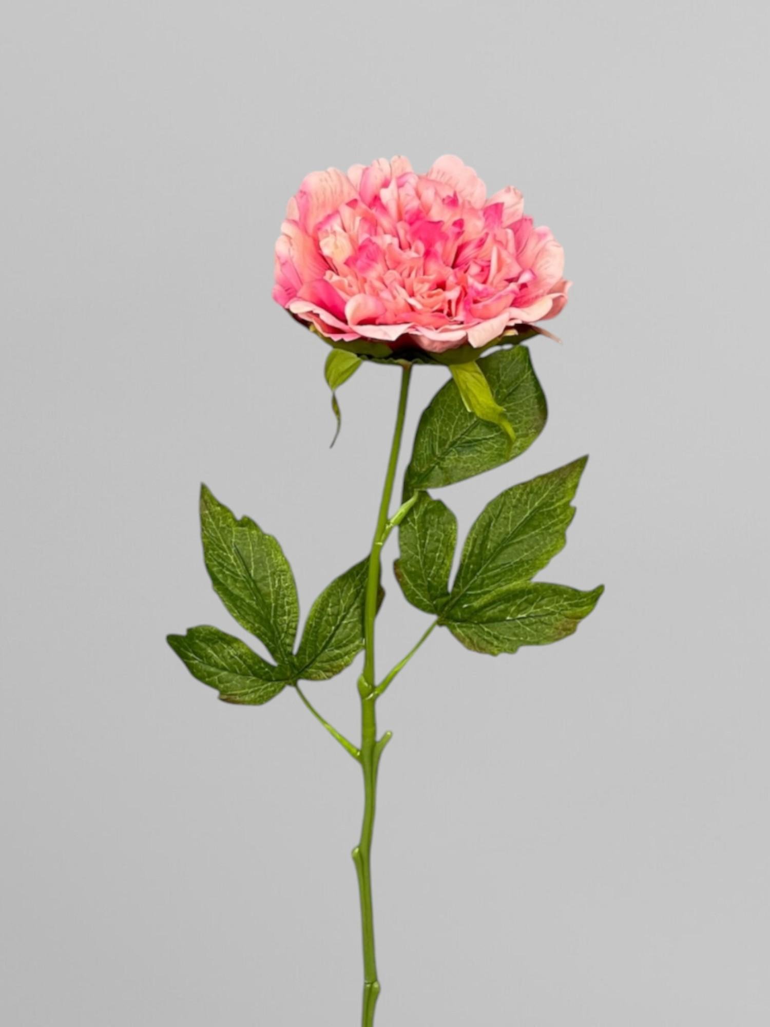 Махровый пион декоративный на стебле 59 см Розовый (К05012)