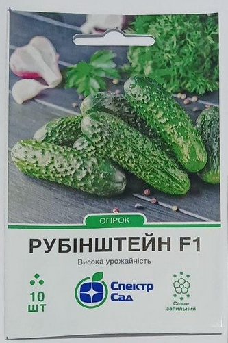Насіння Огірок корнішон Рубінштейн F1 партенокарпічний 10 насінин для маринування та засолювання самозапильний