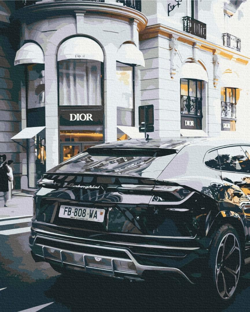 Картина по номерам Brushme Роскошная жизнь 40х50 см (BS52523)