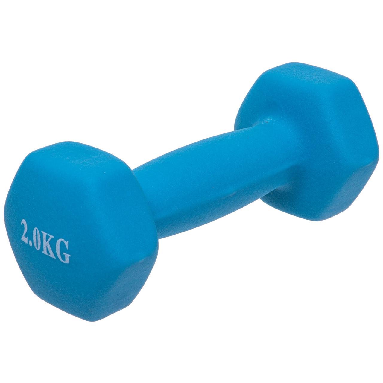 Гантель для фитнеса SP-Planeta TA-0001-2 с неопреновым покрытием 2 кг (2532845410) - фото 1 Гантель для фитнеса SP-Planeta TA-0001-2 с неопреновым покрытием 2 кг (2532845410) - фото 1