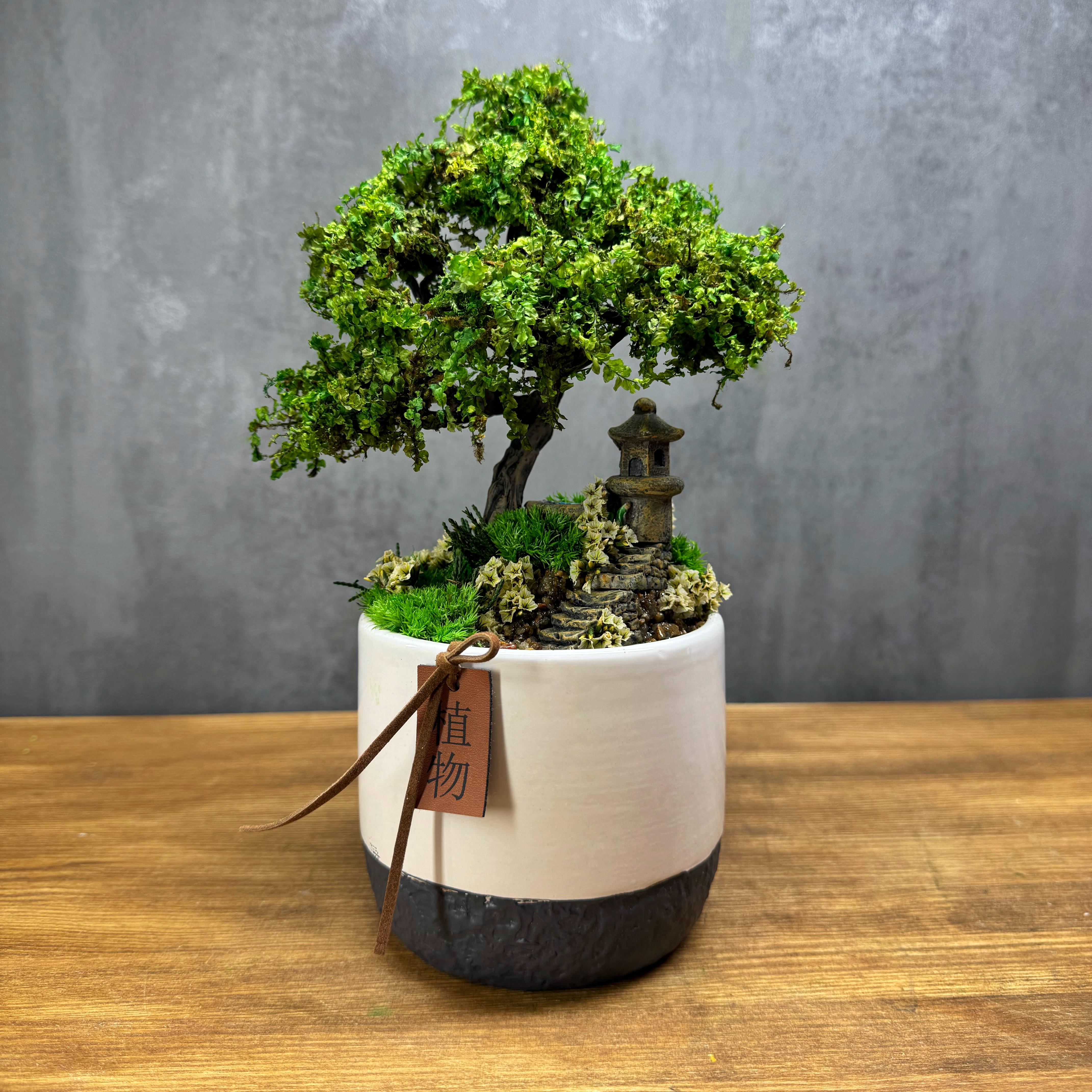 Бонсай стабілізований Мить спокою 25 см