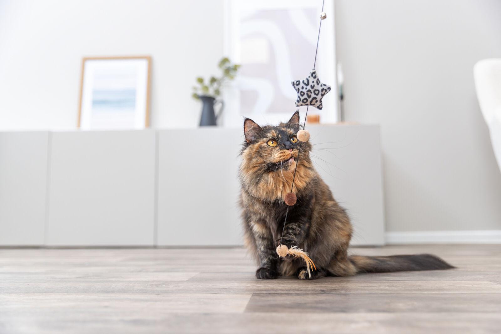 Іграшка для котів Trixie Вудочка з зіркою 50 см - фото 2 Іграшка для котів Trixie Вудочка з зіркою 50 см - фото 2