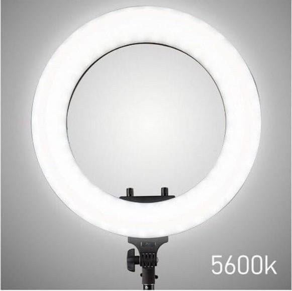 Лампа кольцевая HQ 18 со штативом 2 м 45 см - фото 6 Лампа кольцевая HQ 18 со штативом 2 м 45 см - фото 6