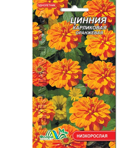 Насіння Цинія карликова помаранчева однорічник низькорослий 0,2 г (26449)