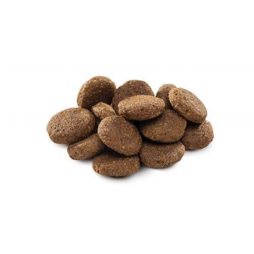 Корм сухий Brit Premium Dog Senior L/XL для старіючих собак великих порід з куркою 3 кг