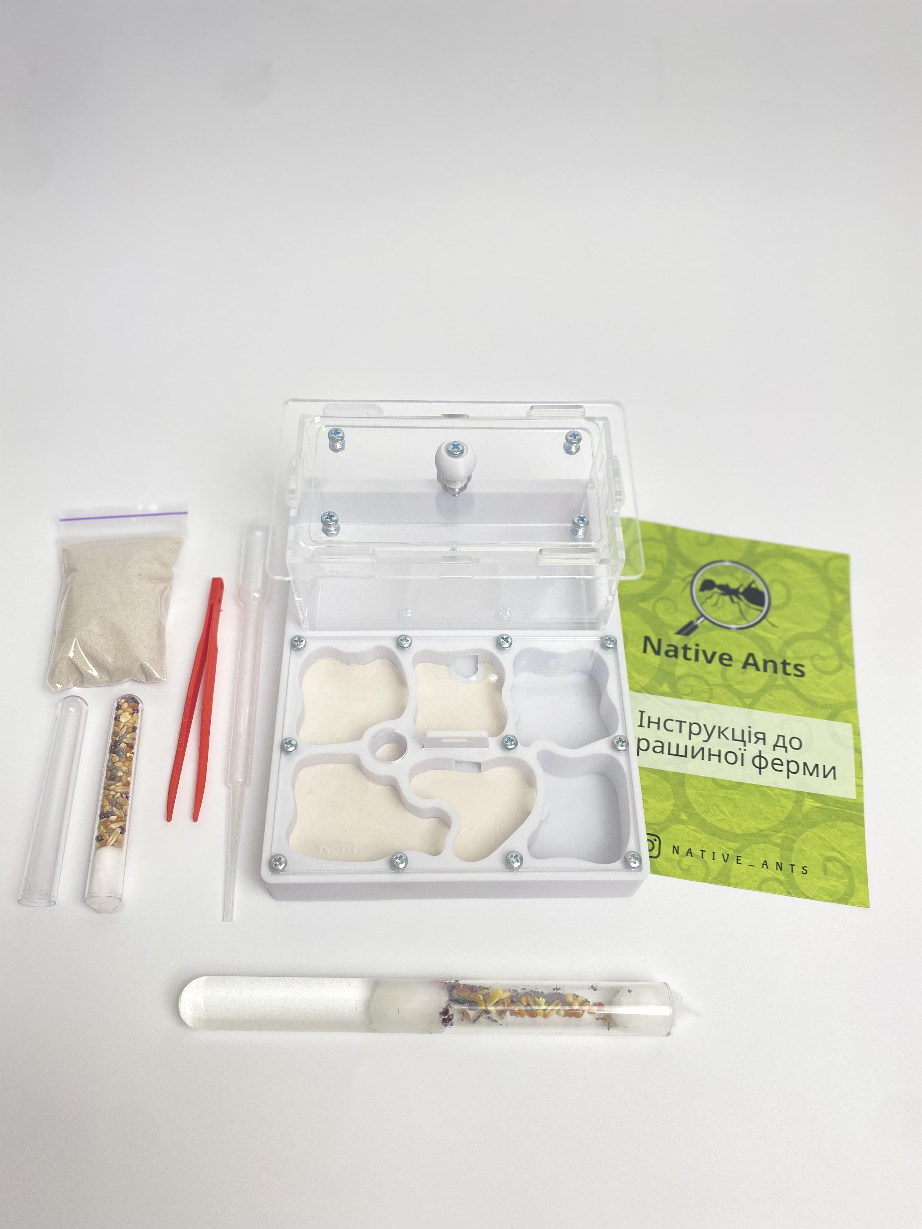 Стартовый набор для новичков Муравьиная ферма "Стандарт" с муравьями Messor muticus/аксессуарами и кормом Бежевый (2679552652)