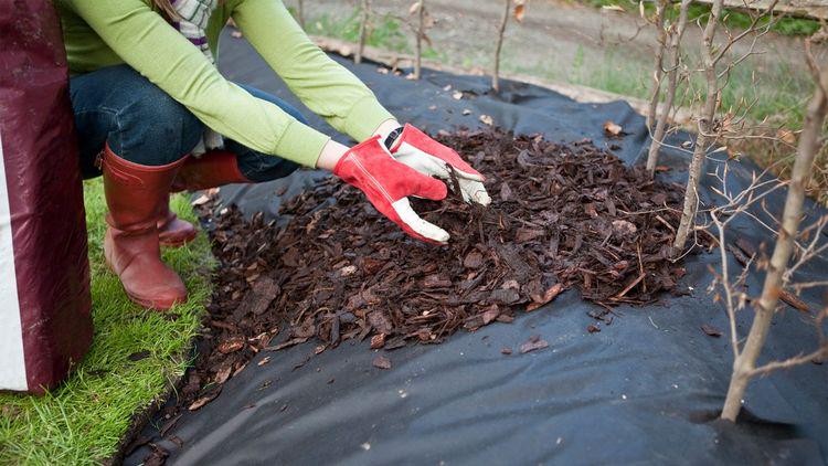 Агротканина проти бур'янів 90 г/м² PP UV 0,4х1 м Чорний - фото 3 Агротканина проти бур'янів 90 г/м² PP UV 0,4х1 м Чорний - фото 3