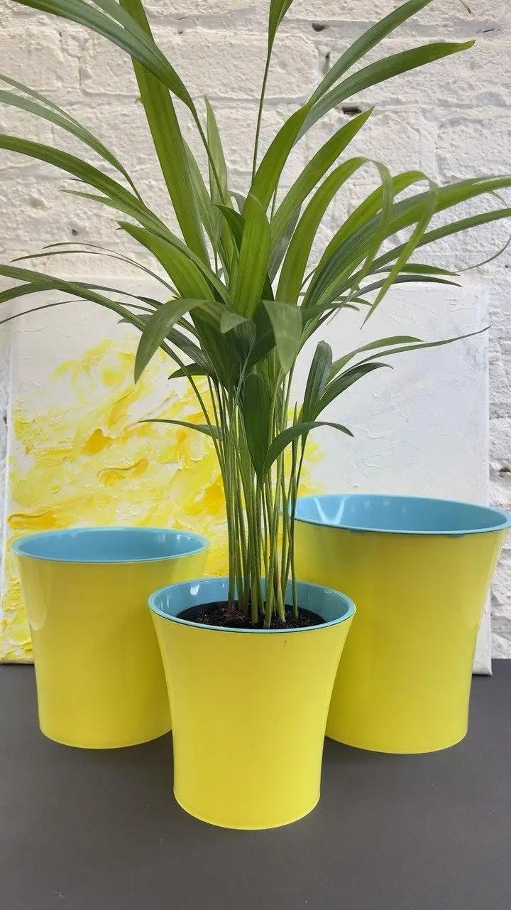Горщик для квітів PlastDetal подвійний 1,8 л Жовтий/Блакитний (190008) - фото 2 Горщик для квітів PlastDetal подвійний 1,8 л Жовтий/Блакитний (190008) - фото 2
