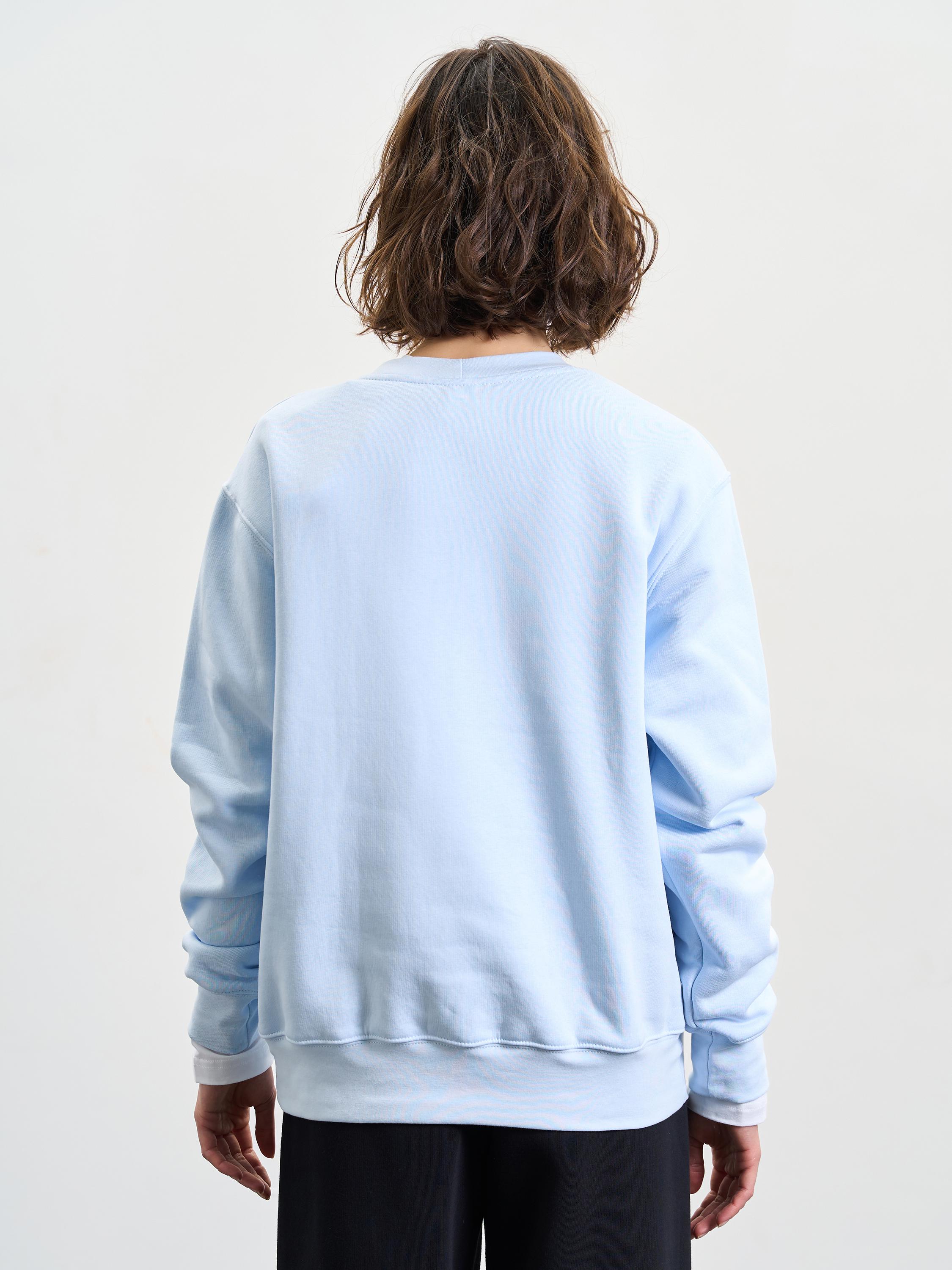 Свитшот женский утепленный ROZA 240428 S Морозный голубой (4824005710186) - фото 3 Свитшот женский утепленный ROZA 240428 S Морозный голубой (4824005710186) - фото 3
