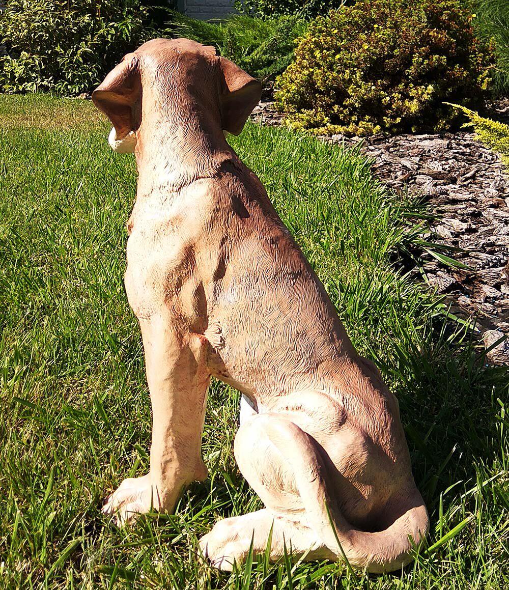 Садовая фигура собака Лабрадор с костью 44 см (816) - фото 5 Садовая фигура собака Лабрадор с костью 44 см (816) - фото 5