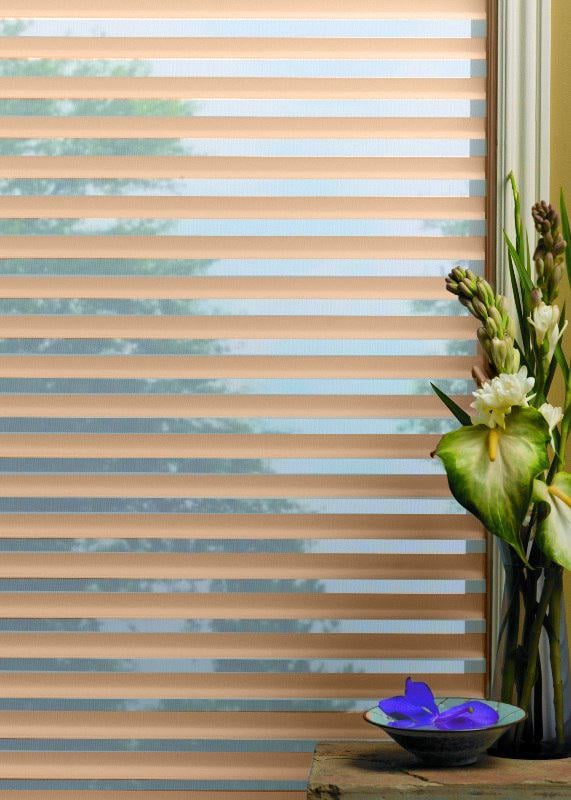 Рулонна штора Силуeт-3D день-ніч відкритого типу 75х170 см Лате