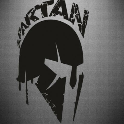 Наклейка Spartan minimalistic helmet 29,8x50 см (24630808)
