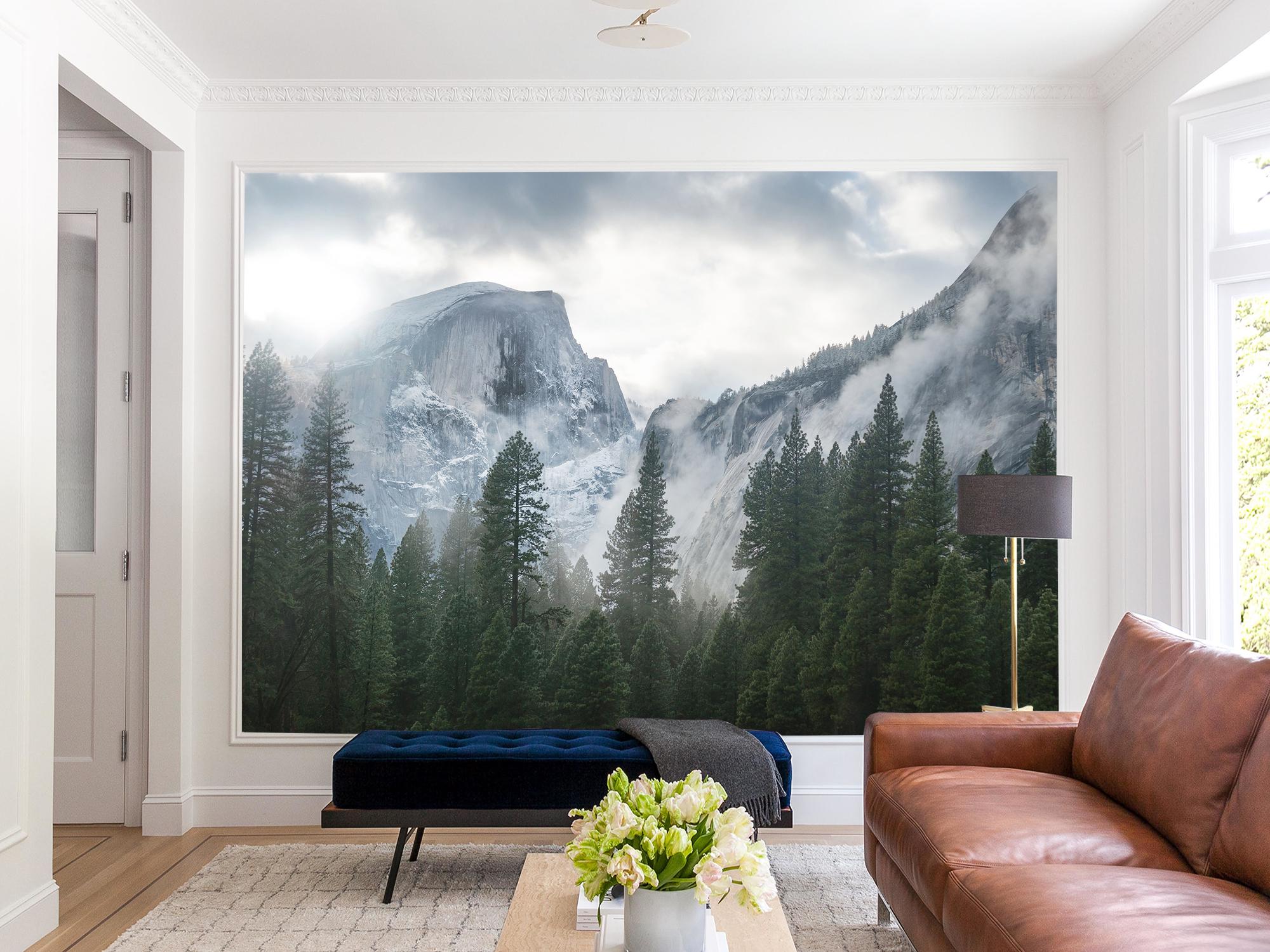 Фотообои флизелиновые Карпатский зимний горный пейзаж 230х345 см (S5NTR-064/6)