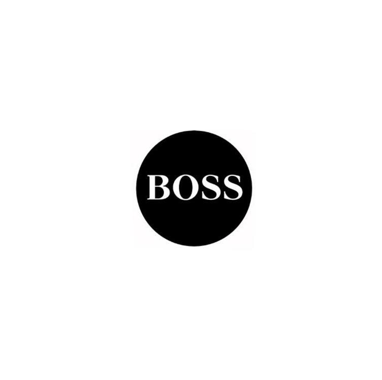 Пластина металева для магнітного тримача Boss