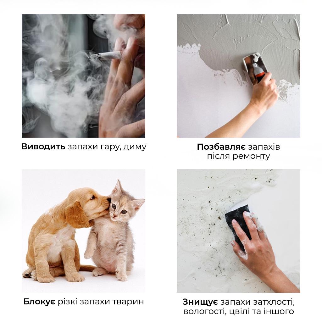 Озонатор для воздуха промышленный Doctor-101 D60-H 3в1 с функцией ионизации (HS-G01) - фото 10