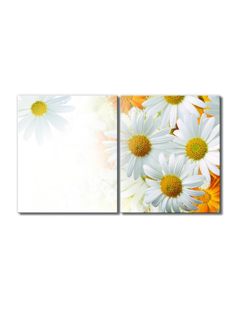 Картина модульная Ромашковое утро 2 модуля 40х60 см