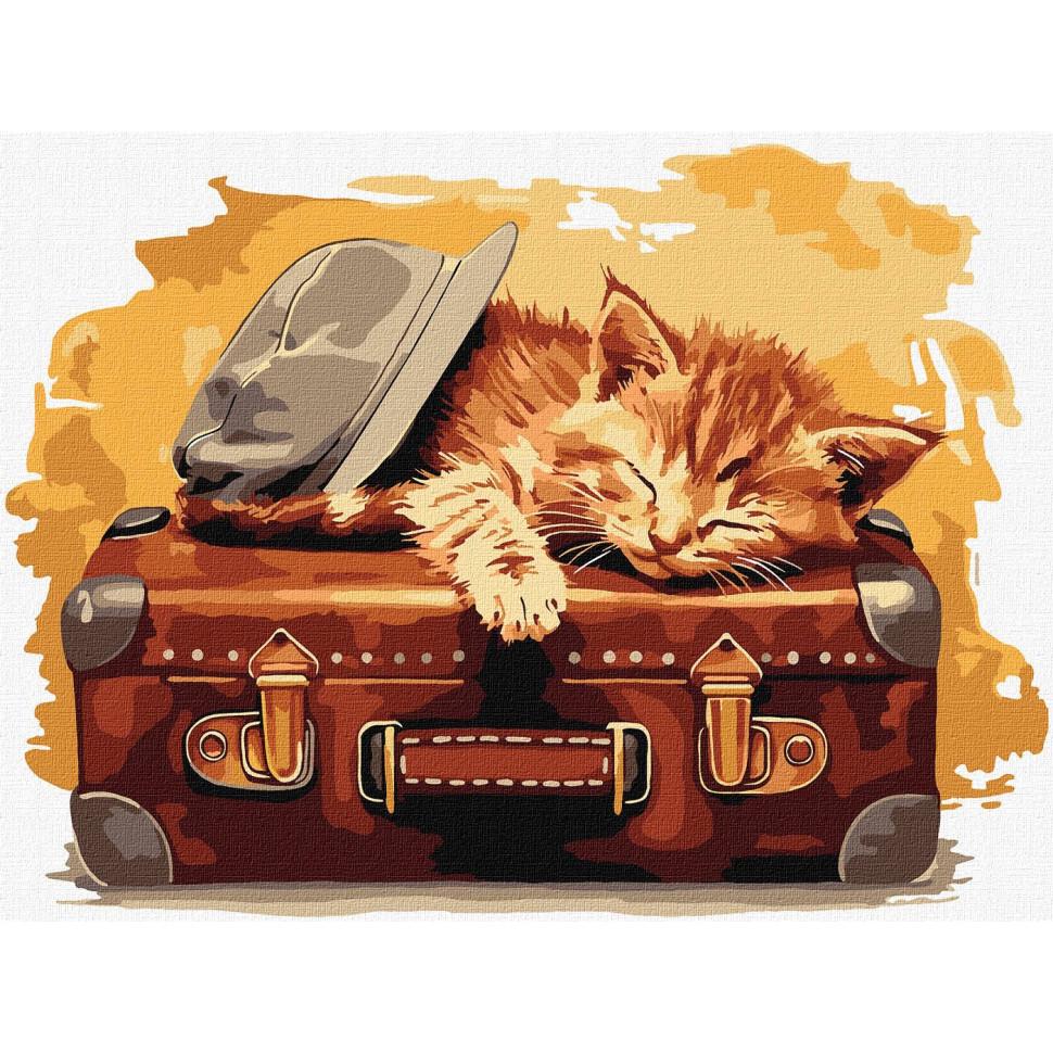 Картина по номерам Ideyka Готов к путешествию 30x40 см Разноцветный (PM-194-K-1168)