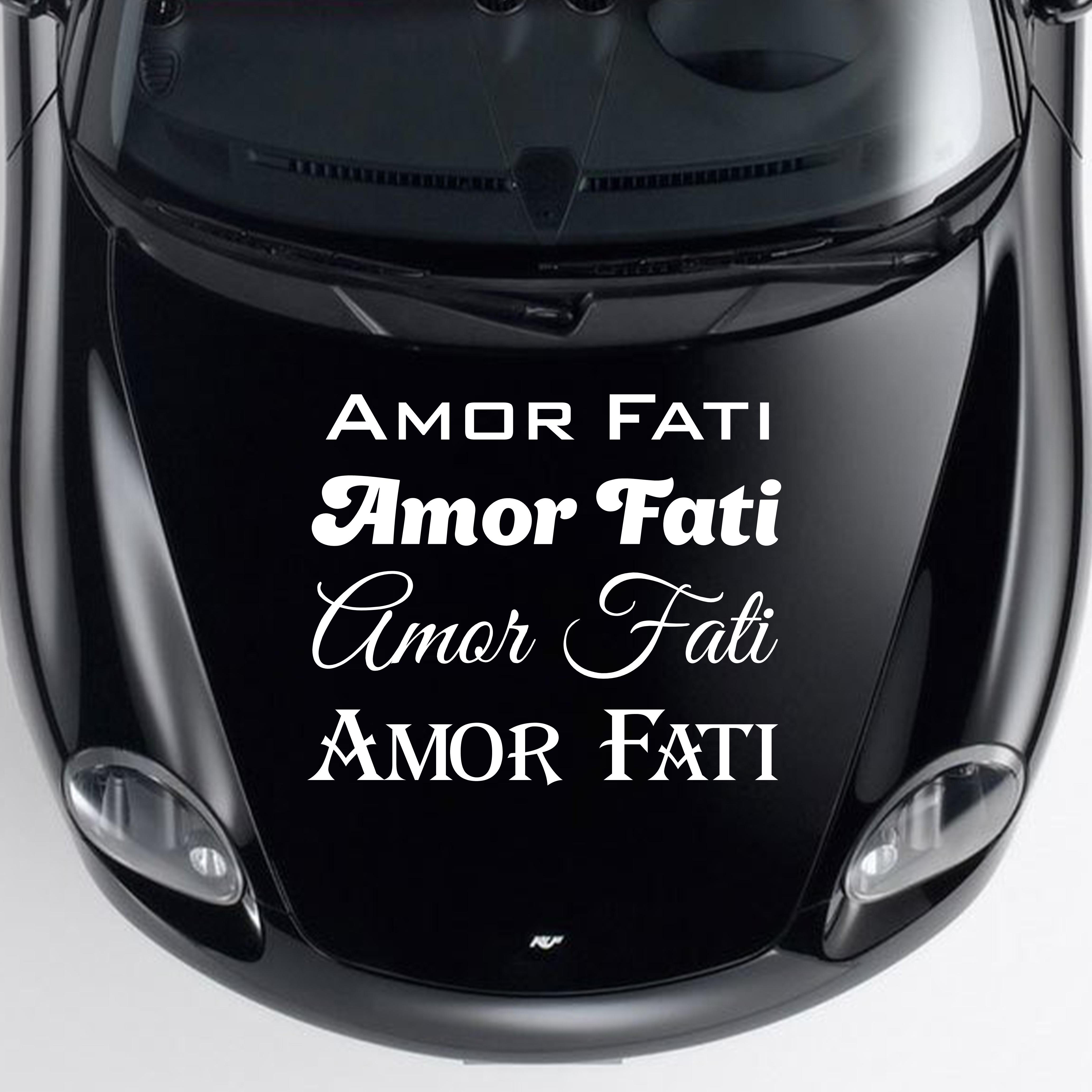 Наклейка на авто Oracal "Amor Fati" 50х6 см Белый (NA000-55-5)