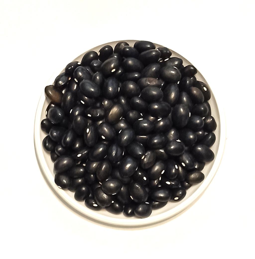 Семена фасоли Насіння країни Черная черепаха 0,5 кг (46390004)