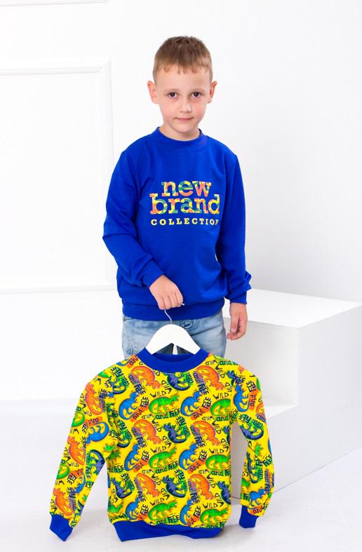 Комплект из 2-х джемперов для мальчика Носи свое 110 см Синий/Желтый (6069-6-v0)