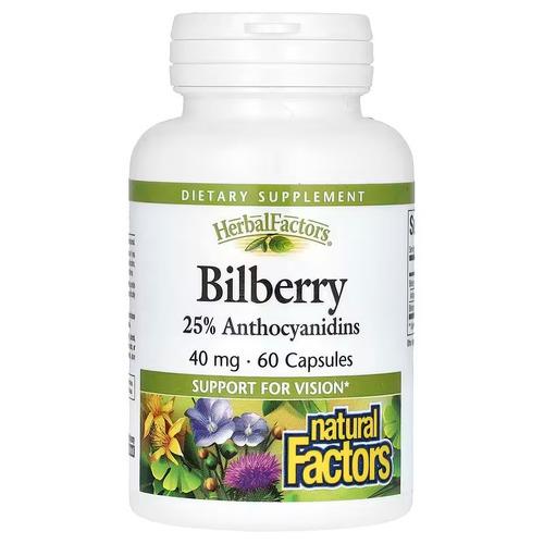 Экстракт черники Natural Factors Bilberry 40 мг 60 Capsules (NFS-04160)