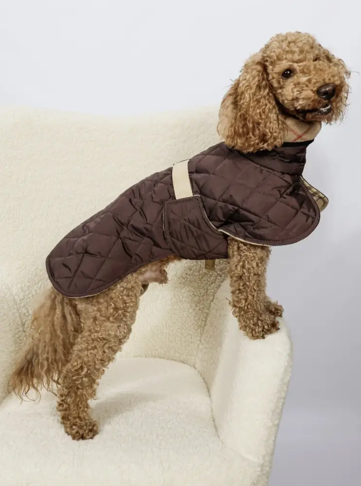 Жилет Dogs Bomba стежка двосторонній Шоколад (G-115/8)