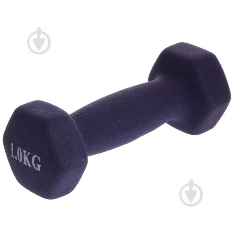 Гантелі для фітнесу SP-Planeta Райдуга TA-0001-1 1 Фіолетовий Гантелі для фітнесу SP-Planeta Райдуга TA-0001-1 1 Фіолетовий