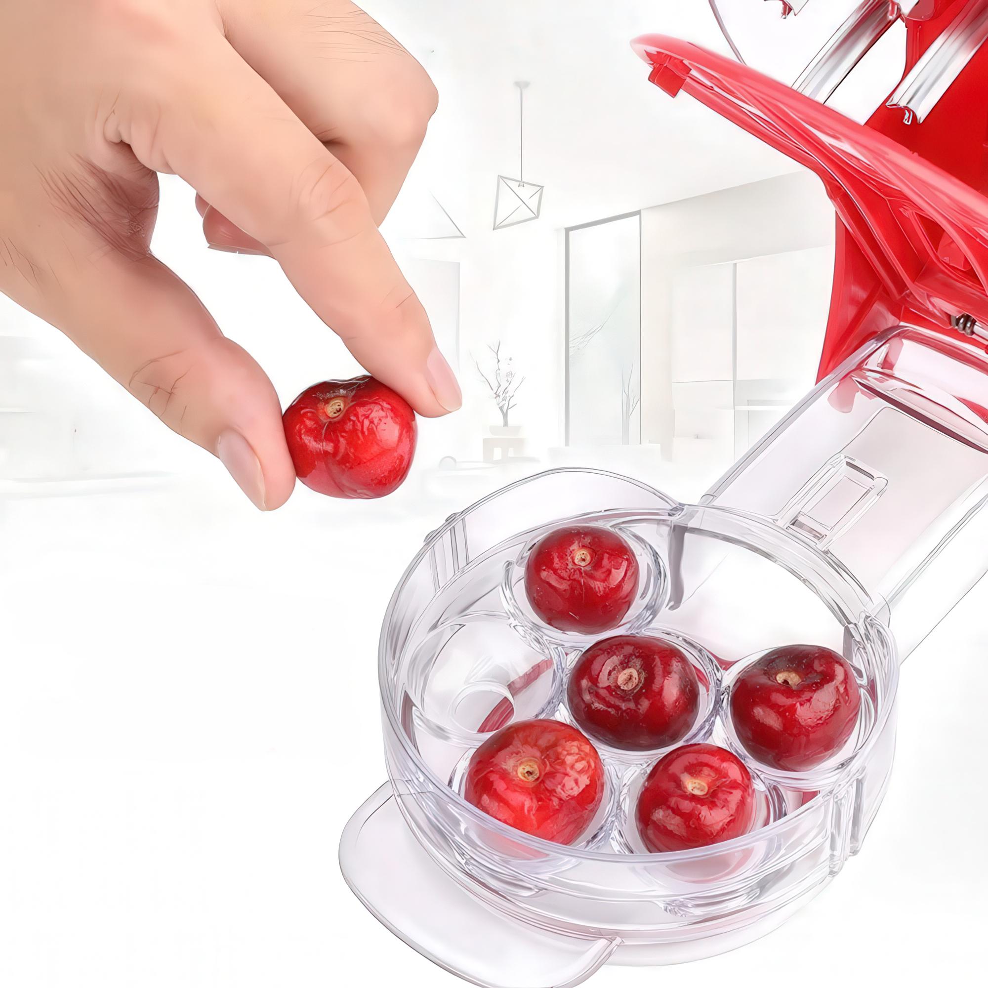 Ручной отделитель косточек на 6 ягод вишни/черешни/оливок - фото 9 Ручной отделитель косточек на 6 ягод вишни/черешни/оливок - фото 9