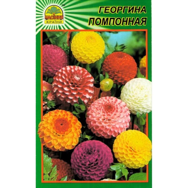 Семена Георгина помпонная 15 шт. (1137298762)