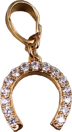 Кулон Xuping Jewelry маленькая подковка 10 мм Золотистый (2629125008) - фото 3 Кулон Xuping Jewelry маленькая подковка 10 мм Золотистый (2629125008) - фото 3