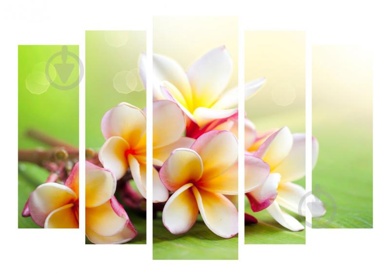 Модульная картина Декор Карпаты 120х80 см (M5-187)