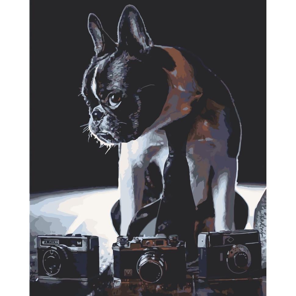 Картина по номерам ART CRAFT Застенчивый фотограф лак 40х50 см (2987253949)