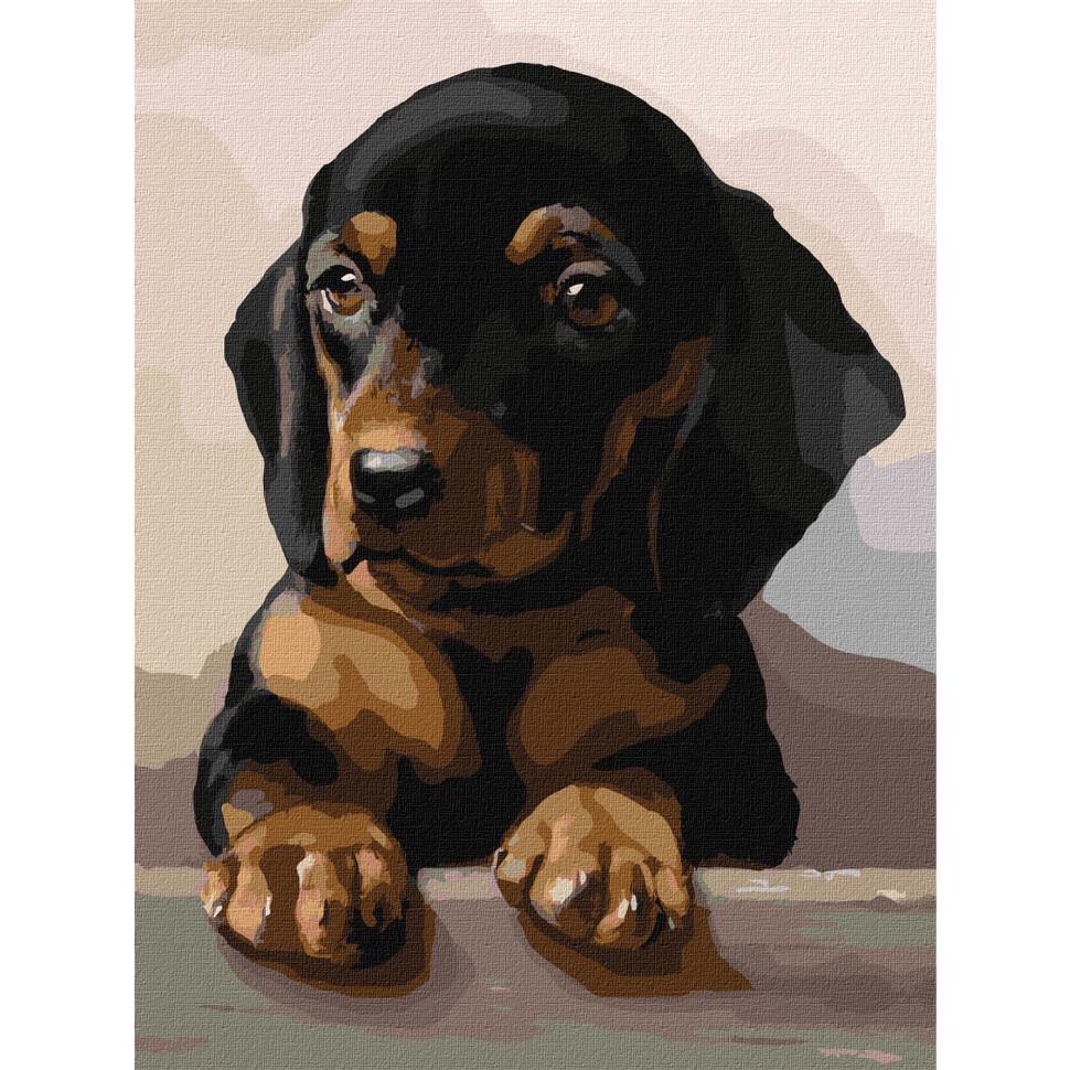 Картина за номерами Ideyka Відданий погляд KHO4345 30x40 см (RLT25631)