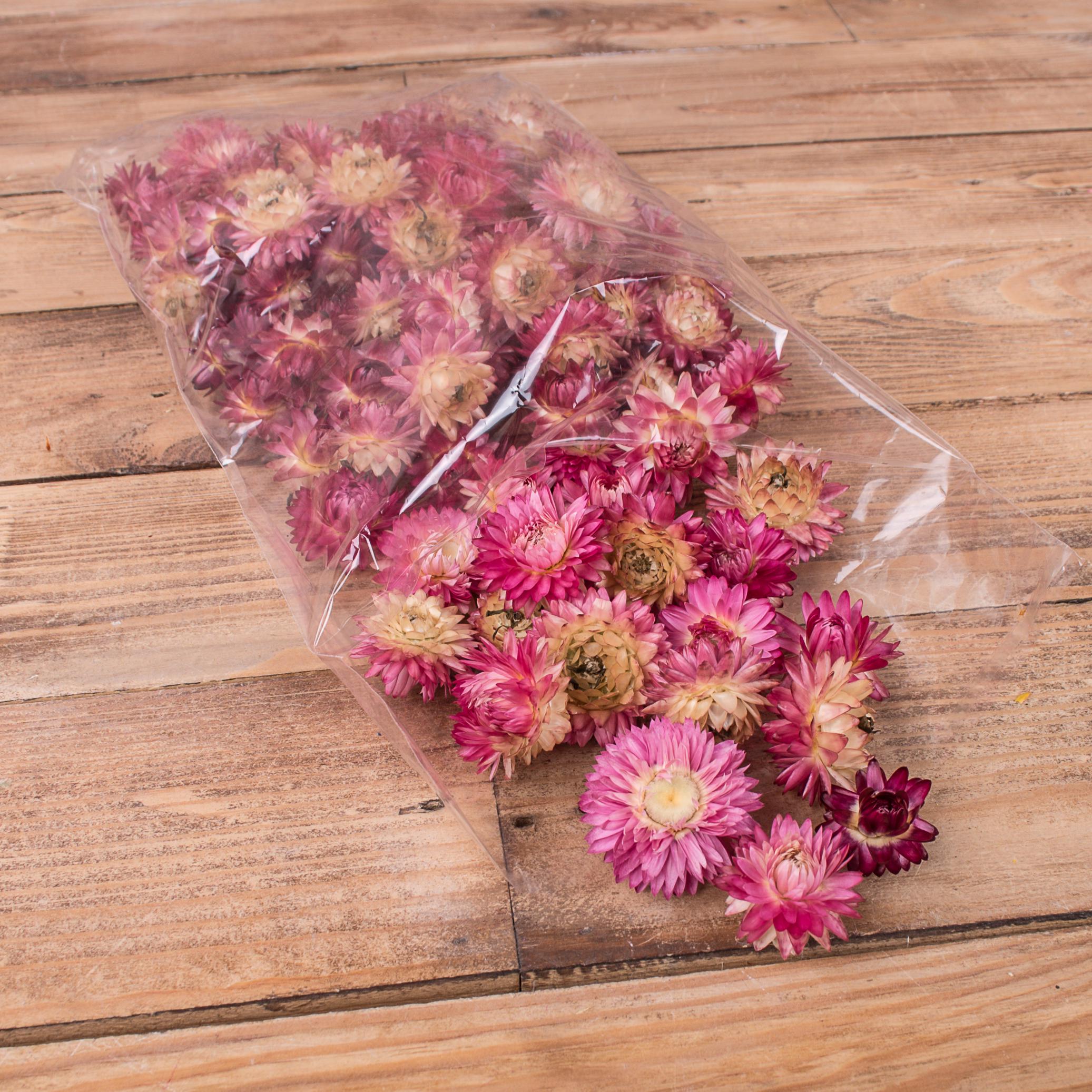 Сухоцвіт геліхризум кульбаба (ST00177)