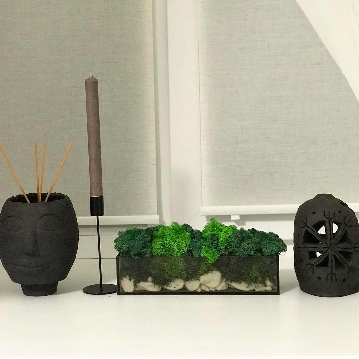 Моссариум со стабилизированным мхом 30 см Черный/Зеленый (12098847)