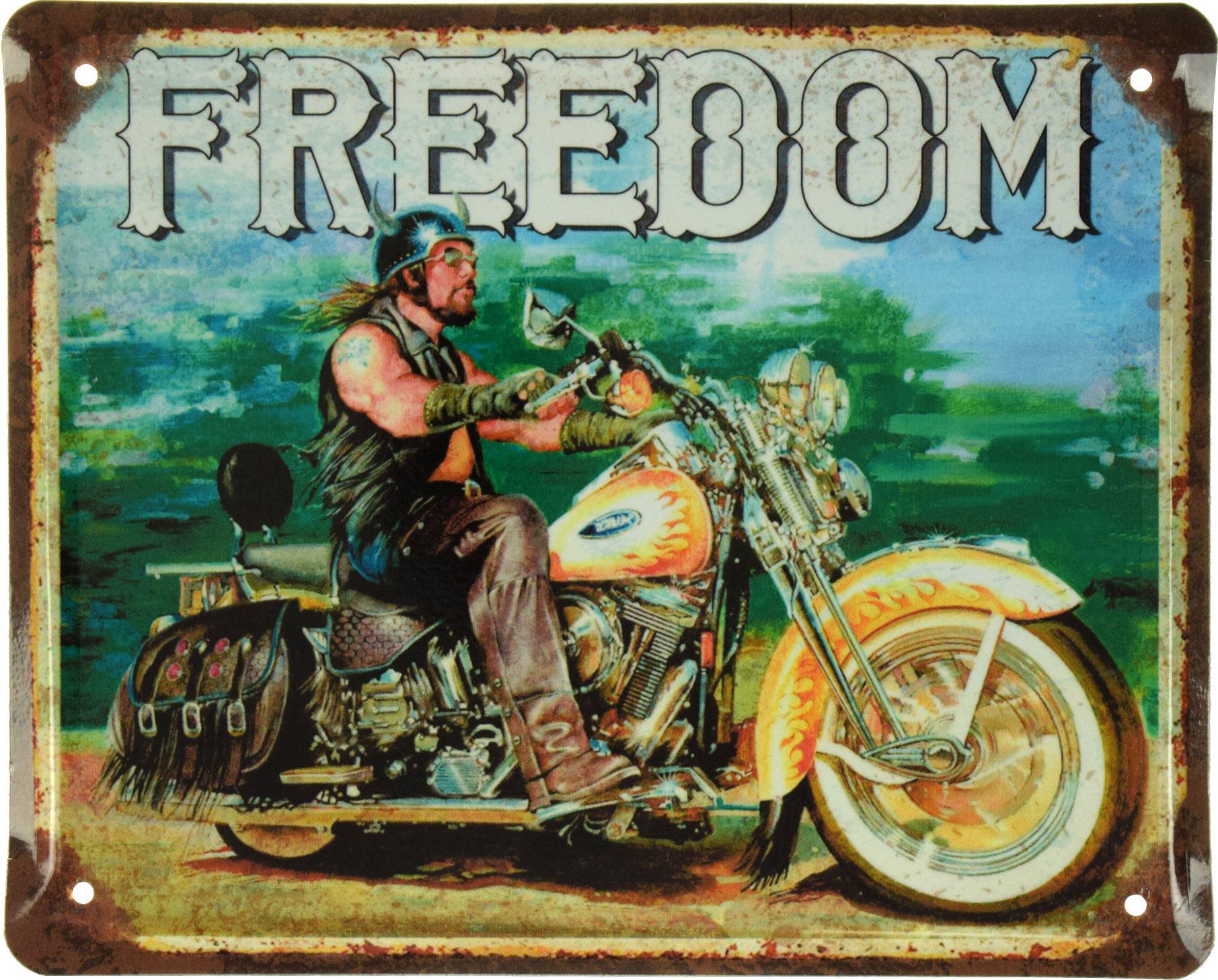 Табличка металлическая Свобода/Freedom 18x22 см